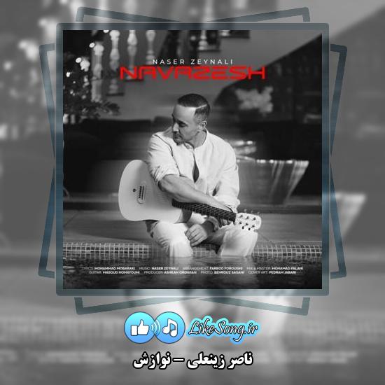 دانلود آهنگ ناصر زینعلی نوازش